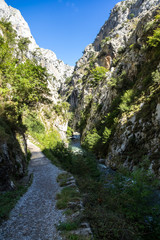 Spanien - Kastilien - Picos de Europa - Garganta del Cares