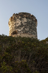 Naklejka premium Corsica, 01/09/2017: tramonto sulla Torre della Parata, la torre genovese costruita nel 1608 con vista sulle Isole Sanguinarie