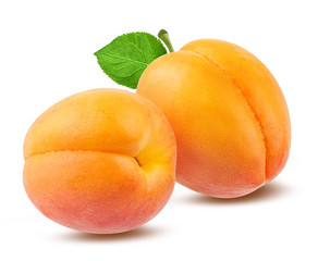 Fresh apricot isolated on white background with clipping path