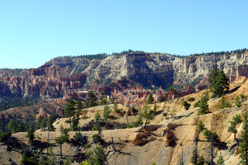 Fototapeta na wymiar Bryce canyon landscape, USA