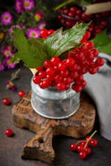fresh berries of viburnum. Selective focus. Rustic style.
