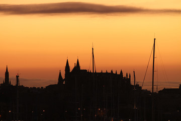 Fototapeta premium La Seu, Palma de Mallorca