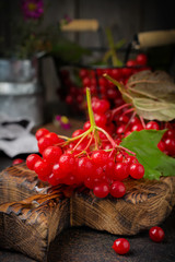 fresh berries of viburnum. Selective focus. Rustic style.