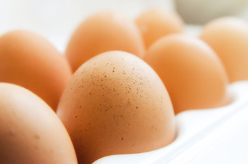 some chicken eggs on a light background