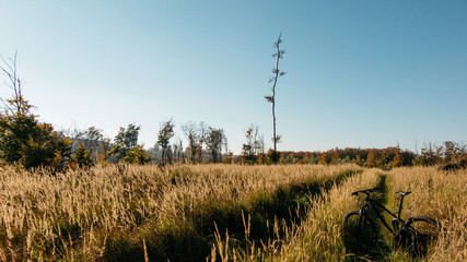 landscape with bicycle