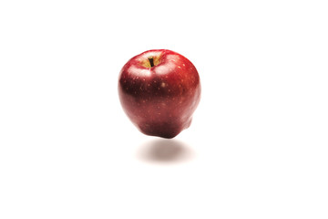 Red apple on a white background