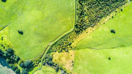 Aerial view on a farmland at sunny day. Whangaparoa peninsula, Auckland, New Zealand