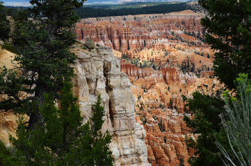 Bryce canyon landscape, USA