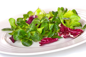 mix salad with spinach isolated on white background