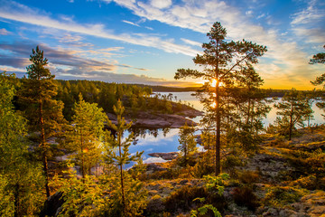 Russia. Karelia. Ladoga lake. The light of the sun through the trees. - obrazy, fototapety, plakaty