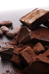 Raw cocoa beans, cocoa powder and chocolate pieces.