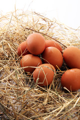 Egg. Fresh farm eggs on a white background.