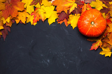 border frame of colorful autumn leaves on black background with pumpkin copy space