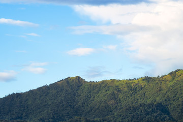 View from below, Looking to beautiful green and yellow with blue sky and some clouds, After the rain at sunset. North of Thailand.