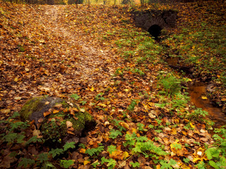 Autumn park. Stone bridge over a small stream