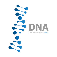 DNA icon logo, Molecular structure of Deoxyribonucleic acid, vector illustration