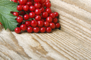 Bunches of red viburnum on a wooden background. here is a place for text