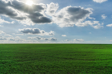 Green field and blue sky
