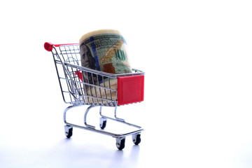 Dollar in shopping cart on white background 
