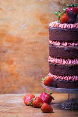Erdbeere Schokoladen Torte Naked Cake