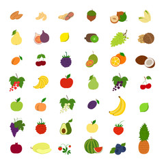 Fruits illustrations set.