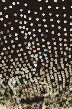 lights on the tree