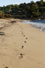 footprint on a send beach
