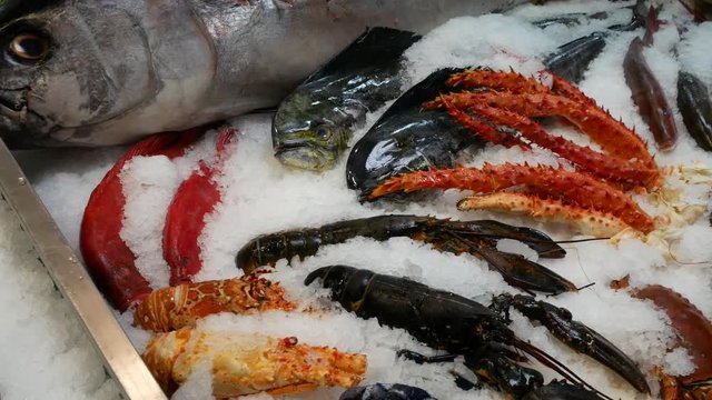 Fish Market - various kinds of fish and mollusks, salmon, trout, crab and more.