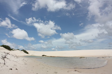 Fototapeta na wymiar Lagon, Parc national des Lençois (dunes) du Maranhao, Brésil