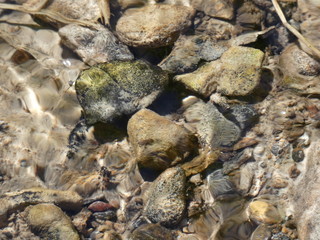 Wavy Water Surface (Rocks)