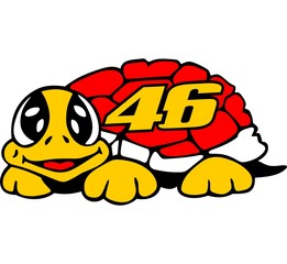 46 Slow Smile Turtle