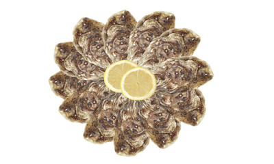 assiette d'huîtres fraîches et citron,isolé,fond blanc