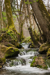 Fototapeta na wymiar Wasserfall zwischen Bäumen