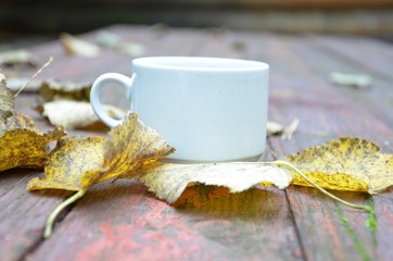 Cup of autumn tea coffee, chocolate and yellow dry leaves near , copy space. Hot drink for autumn cold rainy days. Hygge concept, autumn mood.