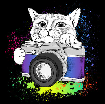 The cat looks out from behind the vintage camera. Hand drawn style. Vector illustration