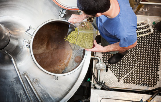 Beer: Focus On Hops Being Added To Wort