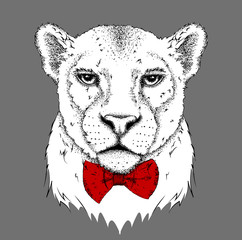 Portrait of a leopard with tie. Can be used for printing on T-shirts, flyers and stuff. Vector illustration