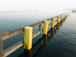 ptaki na wodzie  © blesz