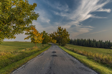 Fototapeta na wymiar Evening with road in Slavkovsky les national park