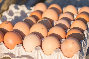 eggs are in the tray in the sun fresh country