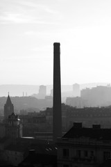 Morning fog above the city