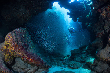 Diver and School of Fish in Dark, Underwater Cave