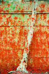 Background and Wallpaper or texture of Wooden board or table wood full of colors From the production of art.