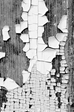 closeup macro microphotograph black and white paint chipping peeling exterior old wood door