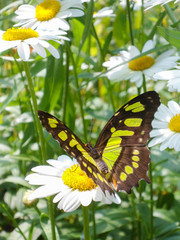 Sarett Nature Center - Benton Harbor MI