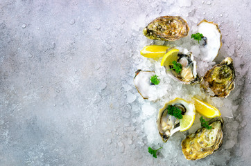 Fresh opened oysters, lemon, herbs, ice on concrete stone grey background. Top view, copy space © jchizhe