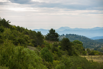 Fototapeta na wymiar panorama foresta