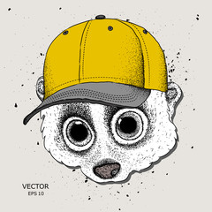 Portrait of a lemur in a cap. vector illustration