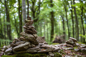 cairn nella foresta