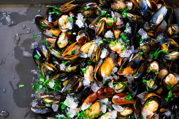 Mussels on stone concrete background. Top view, copy space